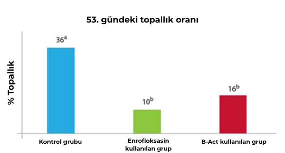 53. gündeki topallık oranı