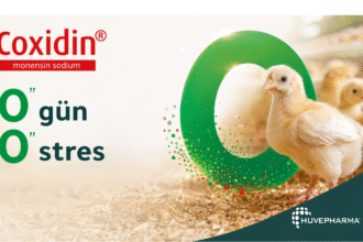 Coxidin
