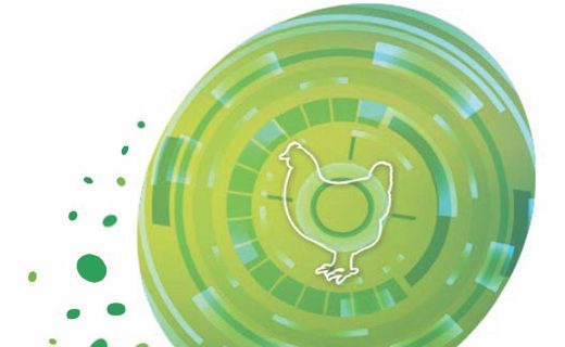 Aviapp new kitapçık