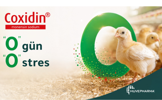 Coxidin